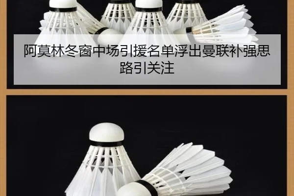 阿莫林冬窗中场引援名单浮出曼联补强思路引关注